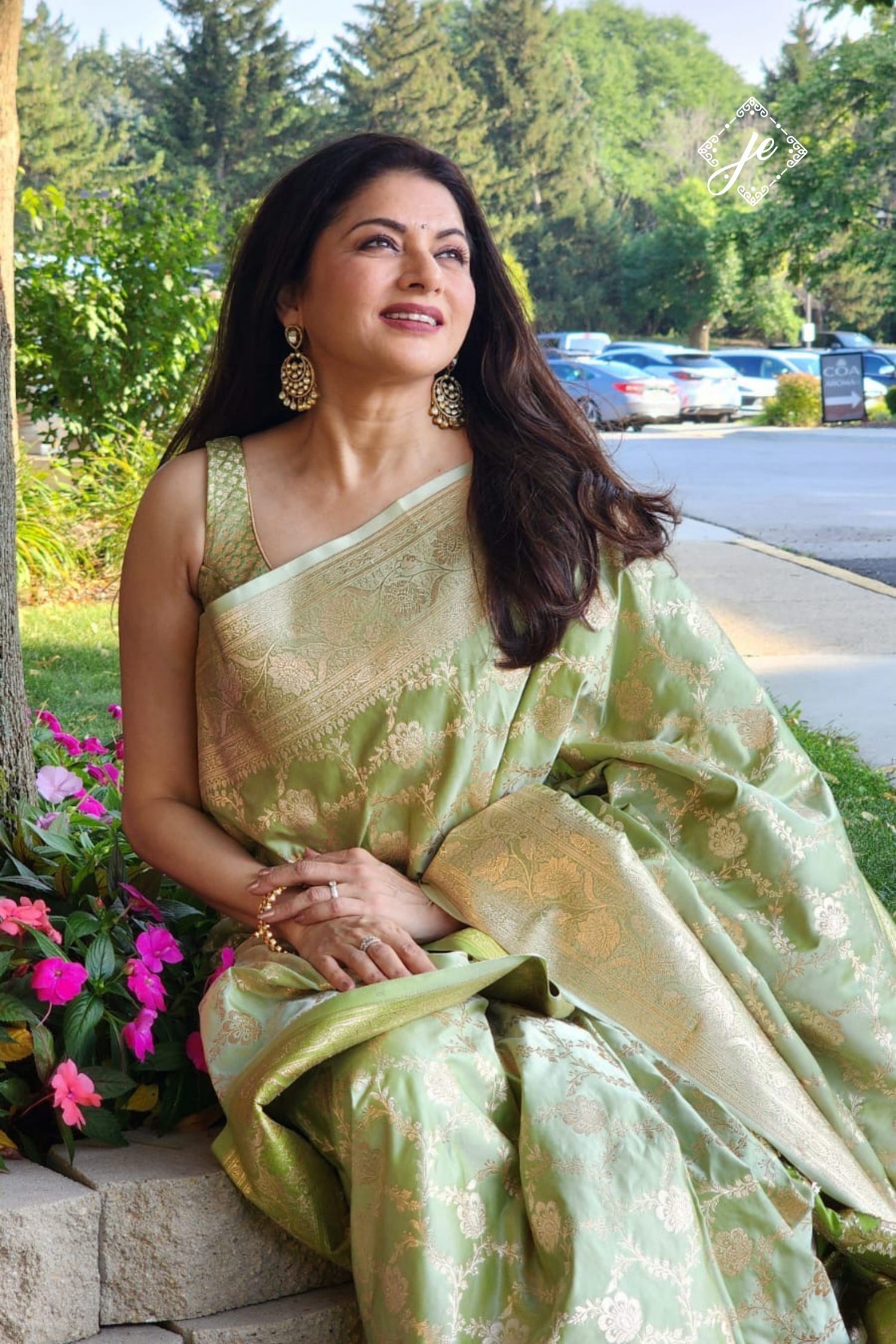 Pista Green Satin Silk Jaal Banarasi Saree