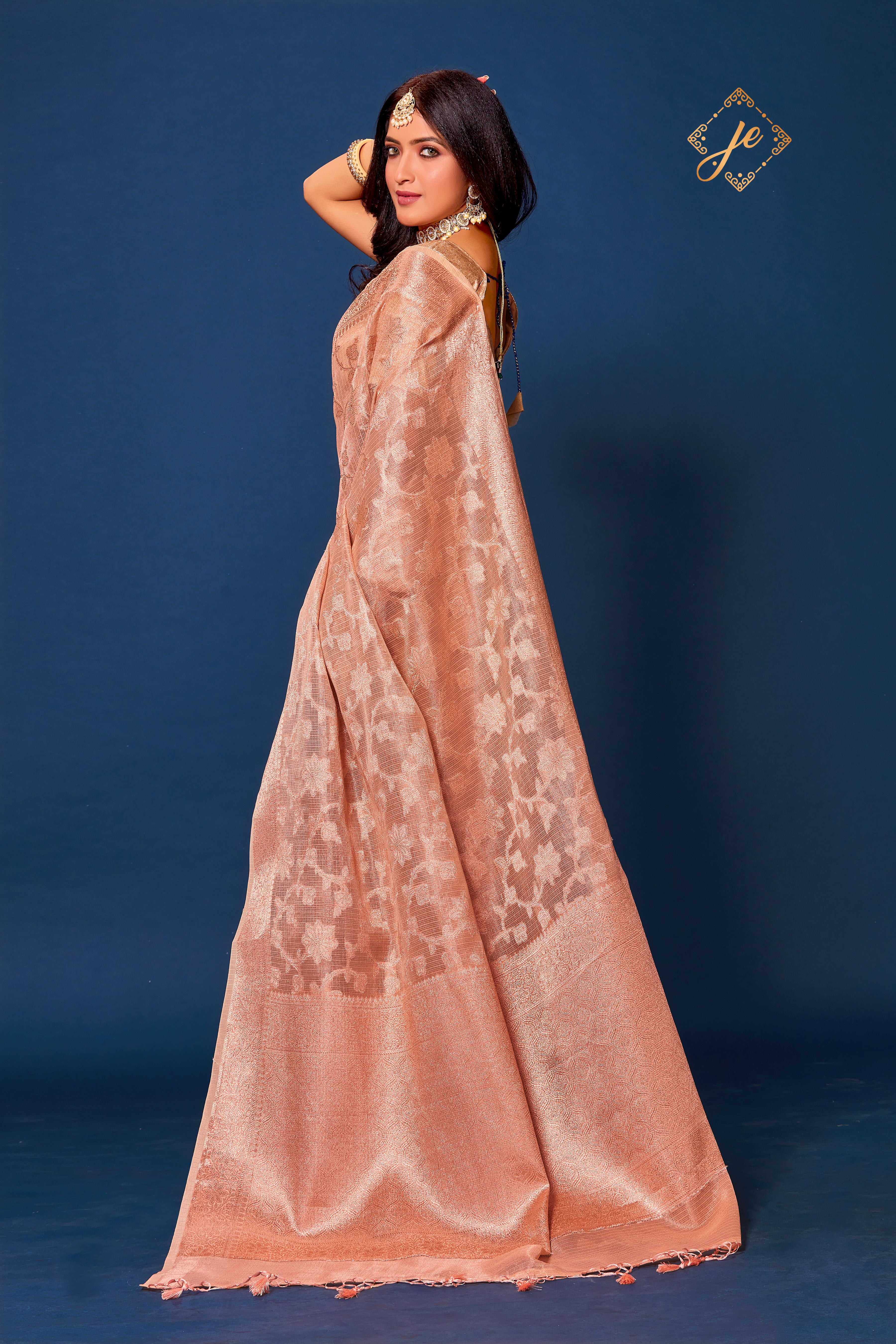Beige Kora Tissue Banarasi Saree