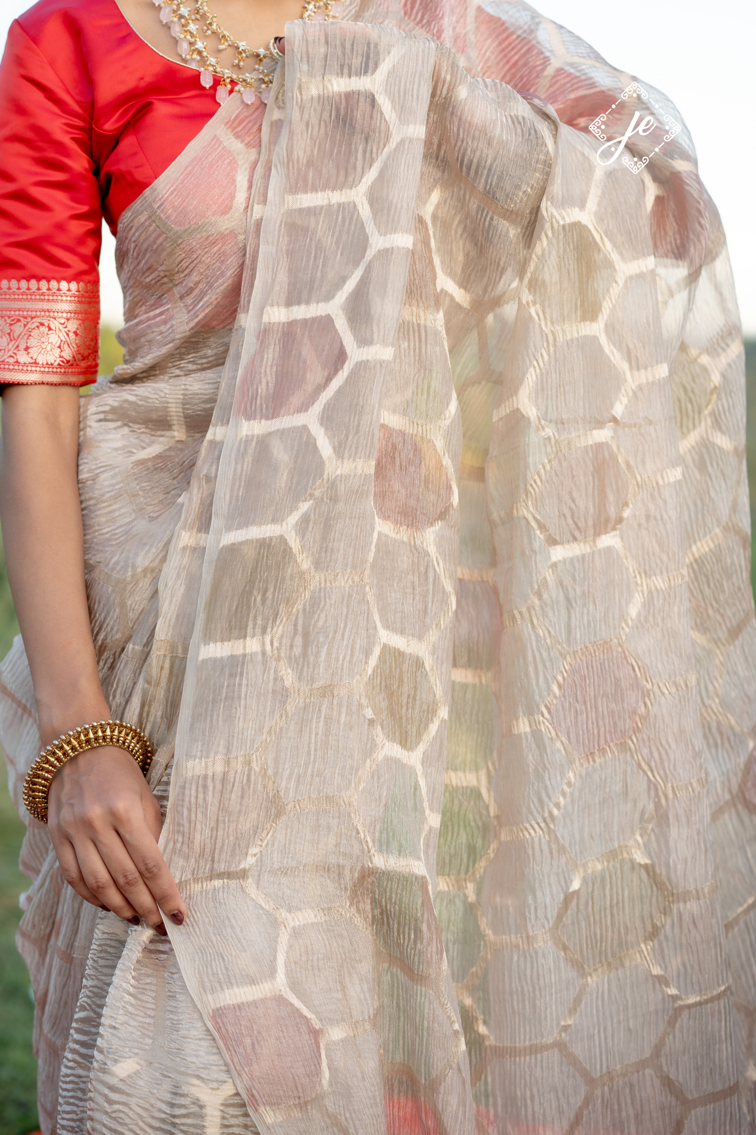 Beige Tissue Silk Banarasi Saree
