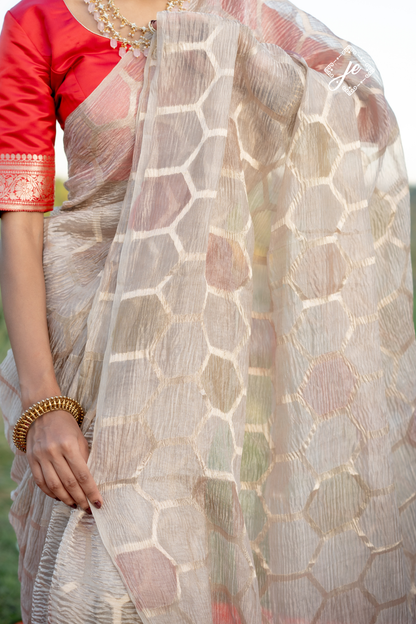 Beige Tissue Silk Banarasi Saree