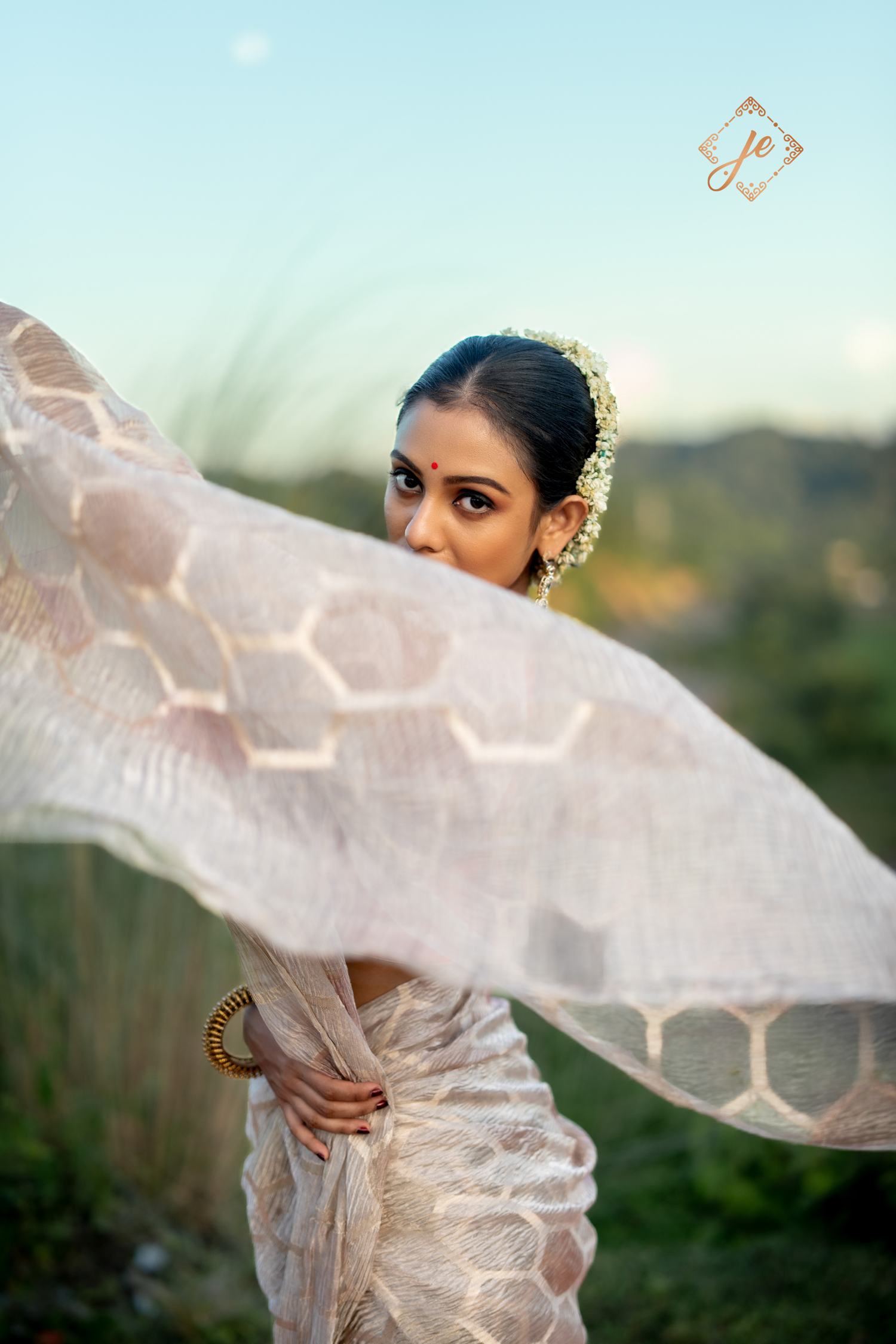 Beige Tissue Silk Banarasi Saree