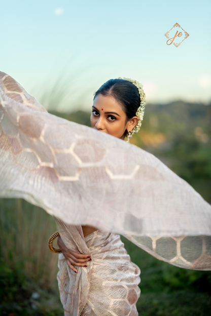 Beige Tissue Silk Banarasi Saree