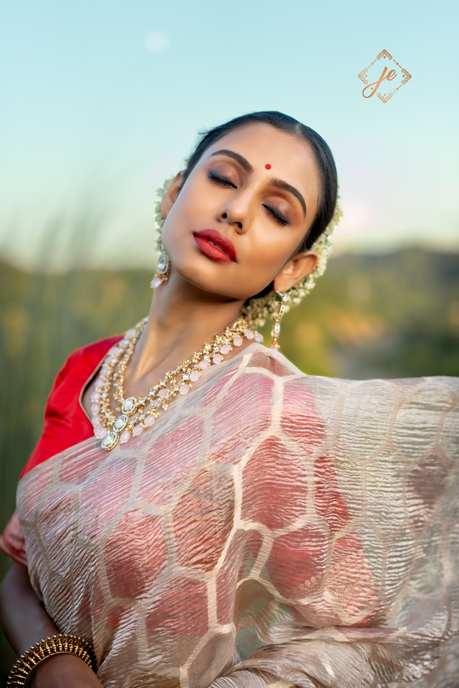 Beige Tissue Silk Banarasi Saree