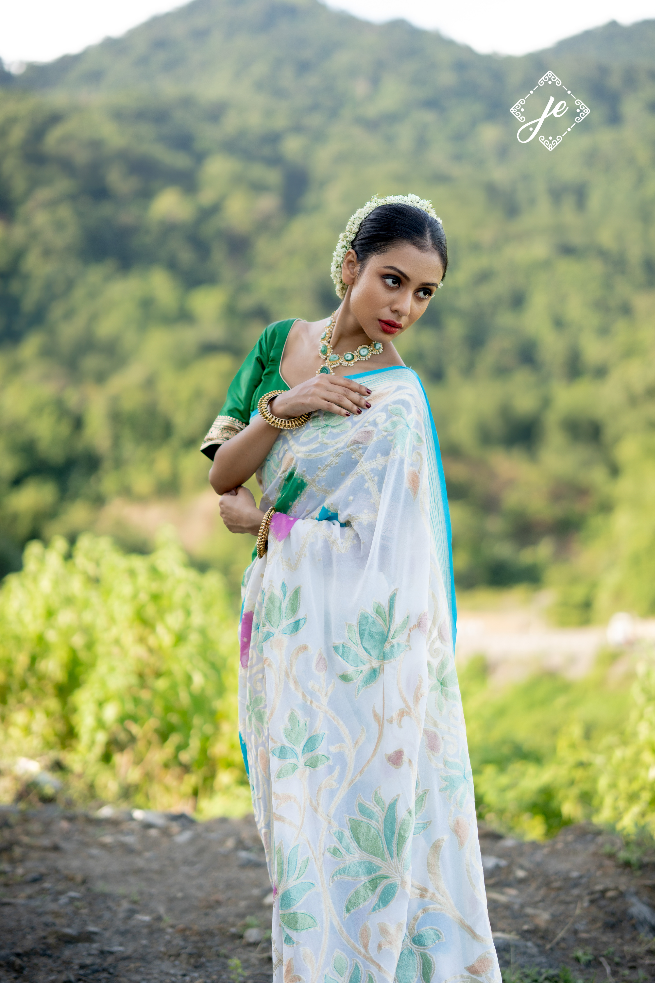 Light Blue Rangkaat Pure Georgette Banarasi Saree