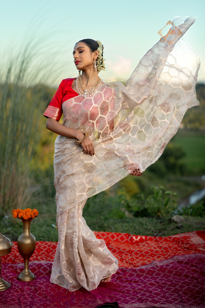 Beige Tissue Silk Banarasi Saree